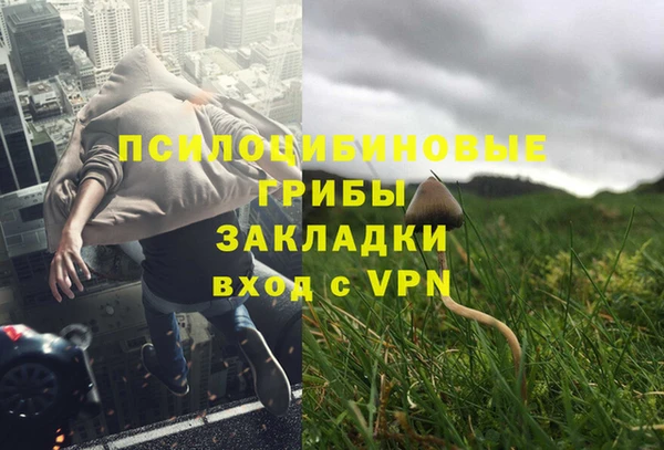 скорость Алексин