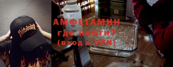 индика Абаза