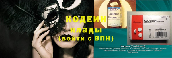 индика Абаза