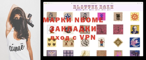 PSILOCYBIN Алзамай
