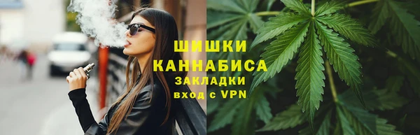 PSILOCYBIN Алзамай