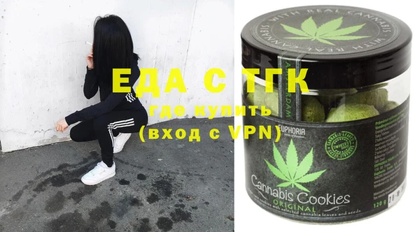 индика Абаза
