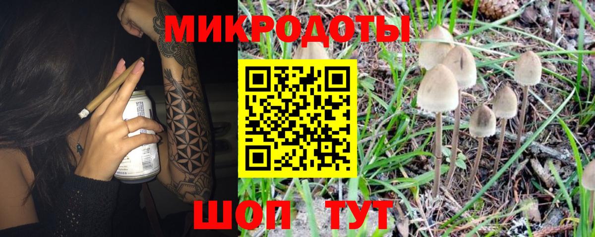 закладка  Вход с VPN  Сарапул  Псилоцибиновые грибы прущие грибы 
