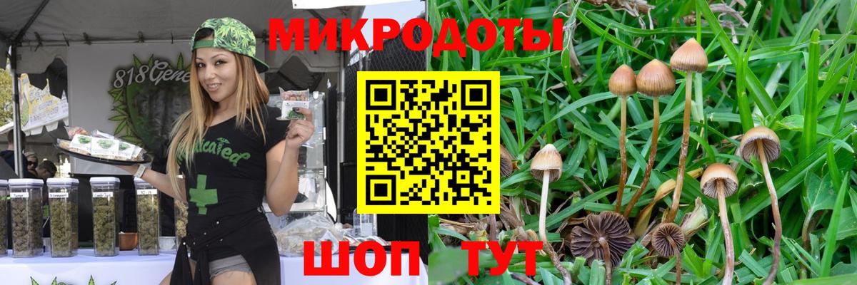 Галлюциногенные грибы мицелий Сарапул